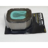 AIR FILTER WITH PRE-CLEANER